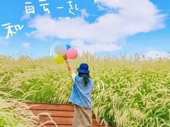 -佛山京华广场MALL