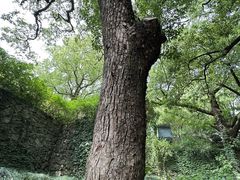 -宁波市保国寺古建筑博物馆