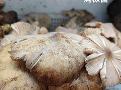 -藏味八珍特色火锅