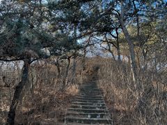 -辛安庄鸡鸣山景区