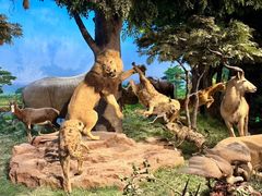 -国家自然博物馆