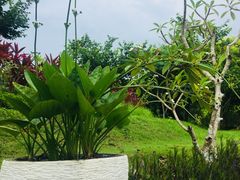 -巴厘岛悦榕庄Jumana露台餐厅