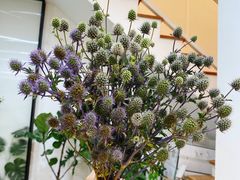 -森野花艺培训·企业团建活动沙龙