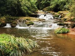 -中国大熊猫保护研究中心雅安碧峰峡基地