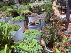 -山菌美食苑(振兴路店)