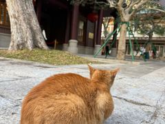 -忆夏爽黑仔漳州四果汤(顶澳仔猫街店)