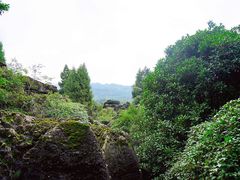 -寻龙山风景旅游区