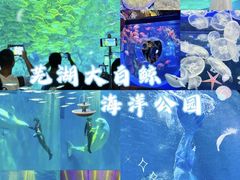 -芜湖新华联大白鲸海洋公园