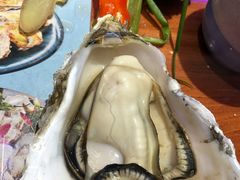 -千岛蚝高压锅生蚝·人参火锅(白云万达店)