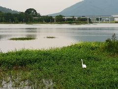 -风云岭森林公园