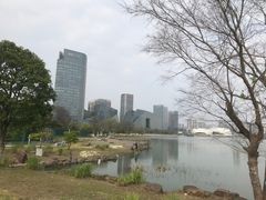 -金沙湖公园