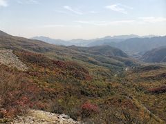 -百花人家(清水镇店)