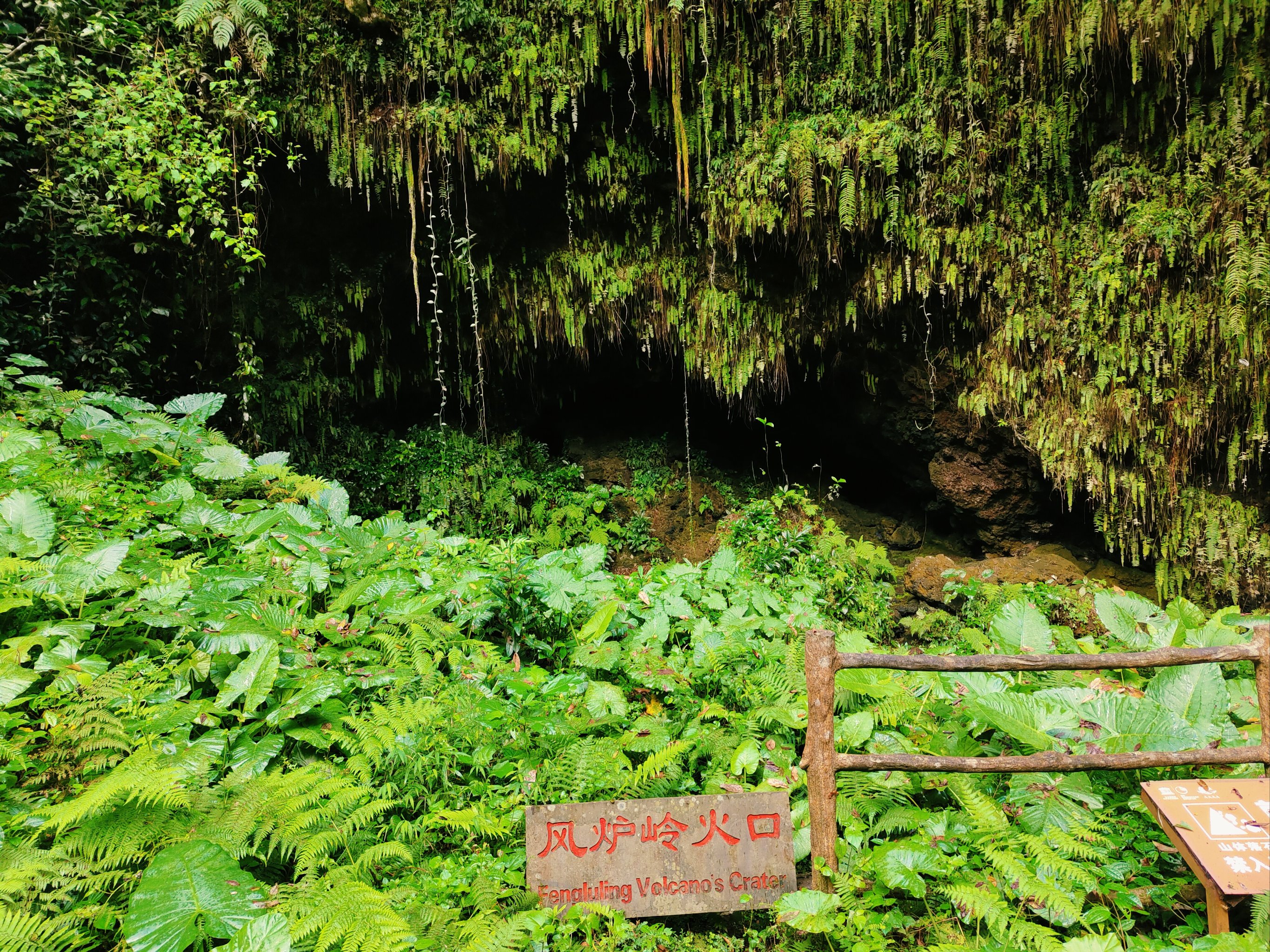 广西火山口地质公园图片