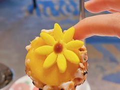 -广州奥园喜来登酒店