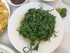 五指山野菜-文昌鸡饭店110号(中山路店)