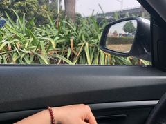 -东莞植物园