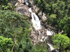 -海南热带雨林国家公园吊罗山景区