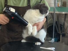 -芭比堂爱心动物医院·心脏科·犬猫内科(越城可乐分院)