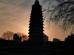 -红梅公园