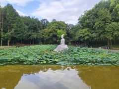 -诸暨耀江开元名都大酒店·西子灶中餐厅