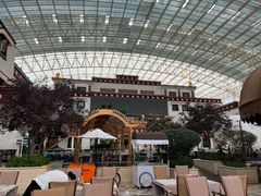 -拉萨圣地天堂洲际大饭店-自助餐厅