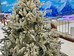 -世界之窗阿尔卑斯冰雪世界