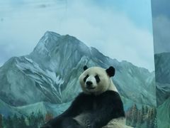 -武汉动物园