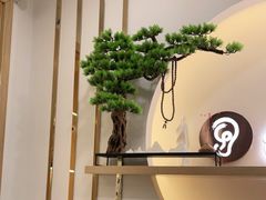 -乐老大耳道·可视采耳·禅洗·推拿(大成直营店)