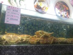 -宝燕壹号(徐汇店)