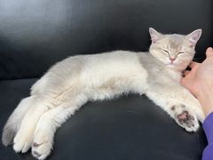 -爱诺耐芙动物医院(万博店)