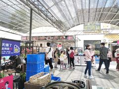 -京北渔家傲