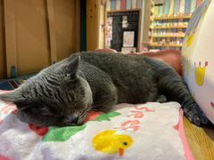 -小时光咖啡馆(开森度假森林店)