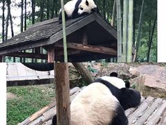 -天目湖御水温泉·度假酒店