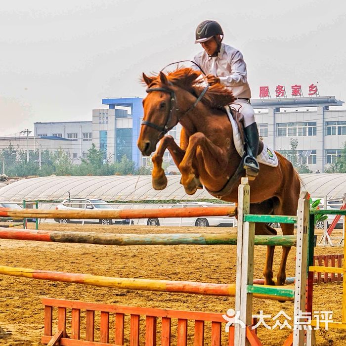 北京骑马俱乐部图片
