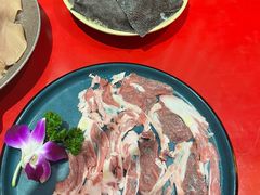 -蜀大侠火锅(森兰花园城店)