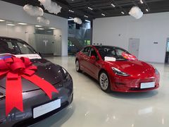 -TESLA 特斯拉(深圳观澜特斯拉直营钣喷中心)