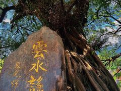 -云水谣景区