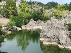 -千岛湖石林