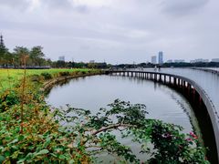 -海珠湖公园