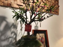 -自由生长植物工作室(深港花卉中心店)