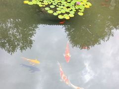 -皇城相府