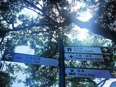 -南丫岛