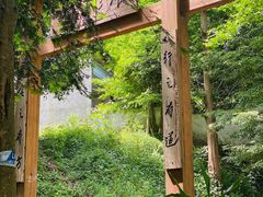 -凤栖山