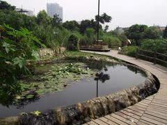 -成都市活水公园