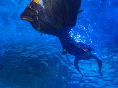 -太平洋海底世界