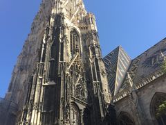 -斯蒂芬主教座堂(Stephansdom)