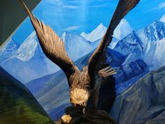 -陕西自然博物馆