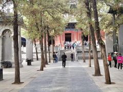 景点-少林寺景区