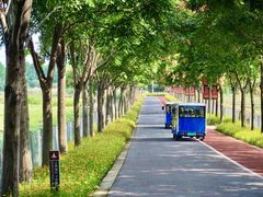 -上海长兴岛郊野公园