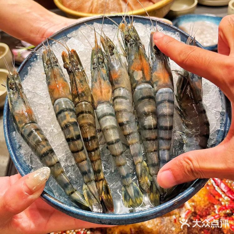 终于吃到了心心念念的巴奴毛肚火锅，不愧是福田火锅人气王🔥